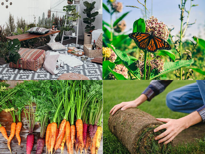 gardening, carrots, outdoor space, rolling out grass